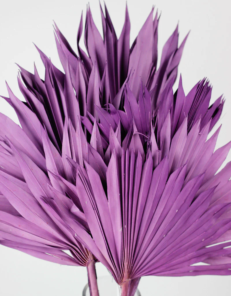 Dried Sun Palms - Lilac, 6 Stems, 60 cm - Image 3