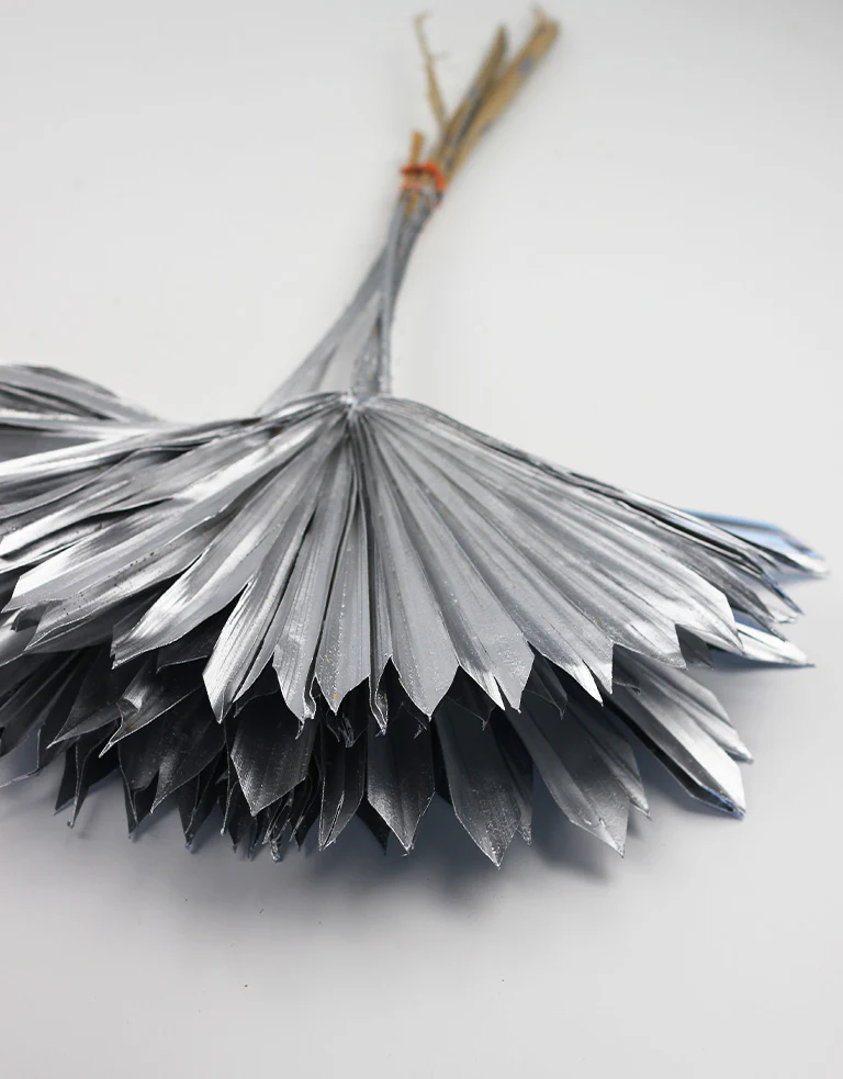 Dried Sun Palms - Silver, 6 Stems, 60 cm - Image 3