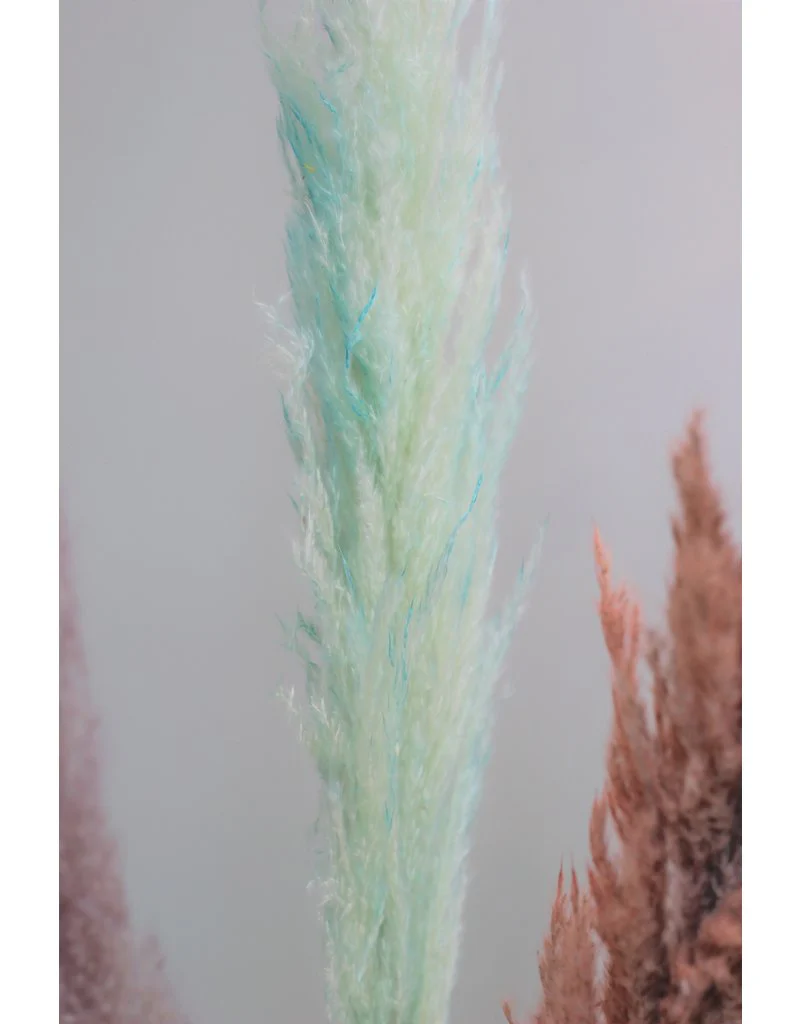 Dried Pampas Grass - Pastel Mix, 3 Stems, 120 cm (Cortaderia) - Image 3