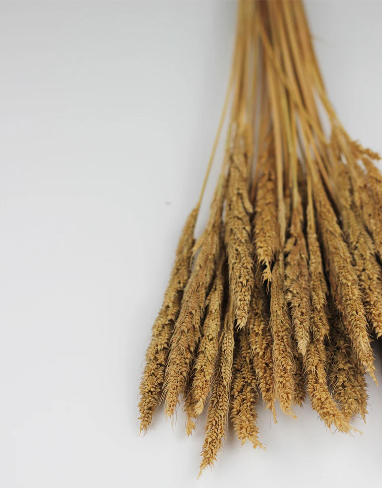 Dried Pinion Grass - Natural bunch, 60 cm - Image 3
