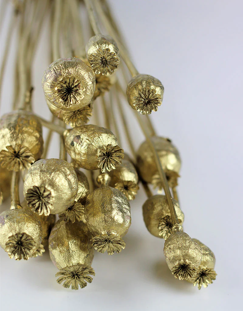 Dried Poppy Heads - Antique Gold Bunch, 60 cm - Image 3
