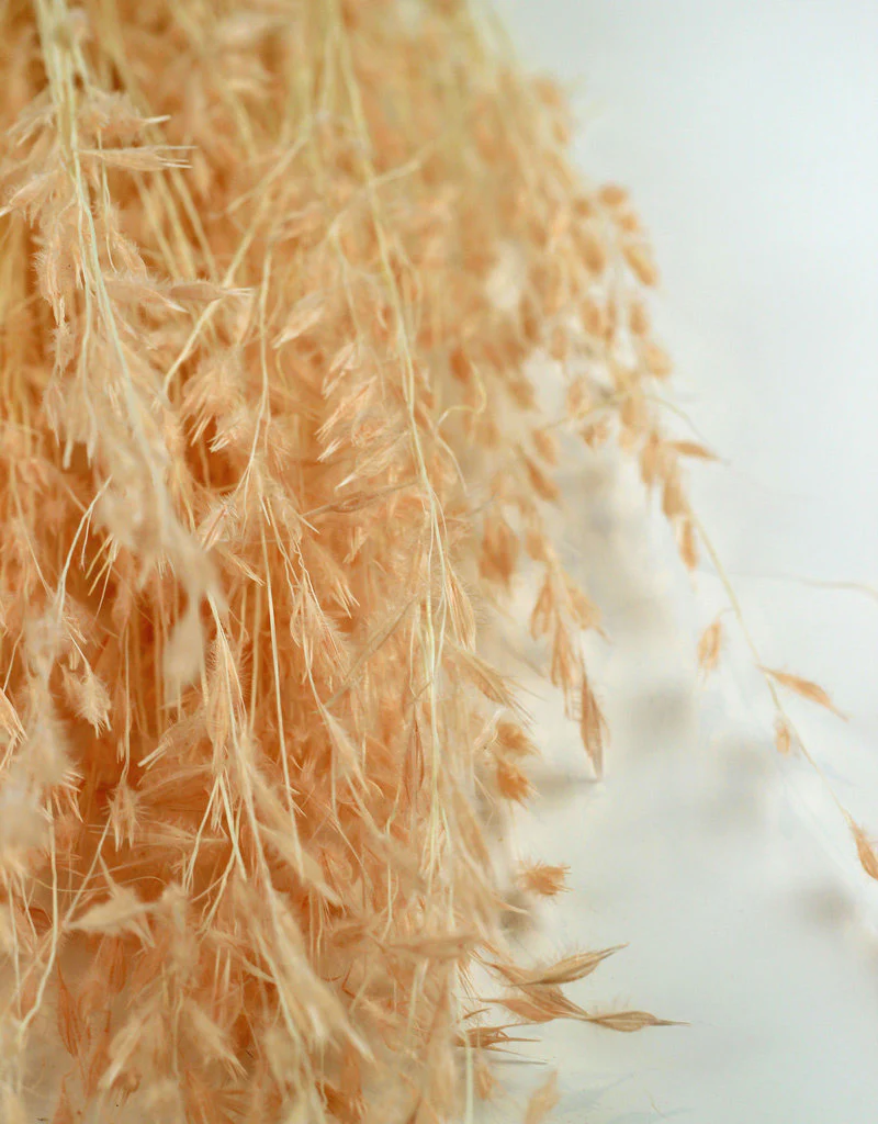Dried Princess Grass - Light Pink Bunch, 80 cm