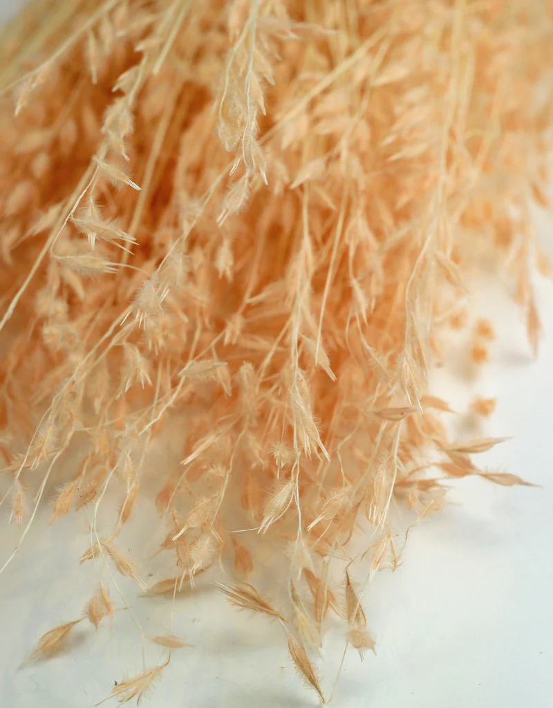 Dried Princess Grass - Light Pink Bunch, 80 cm - Image 2