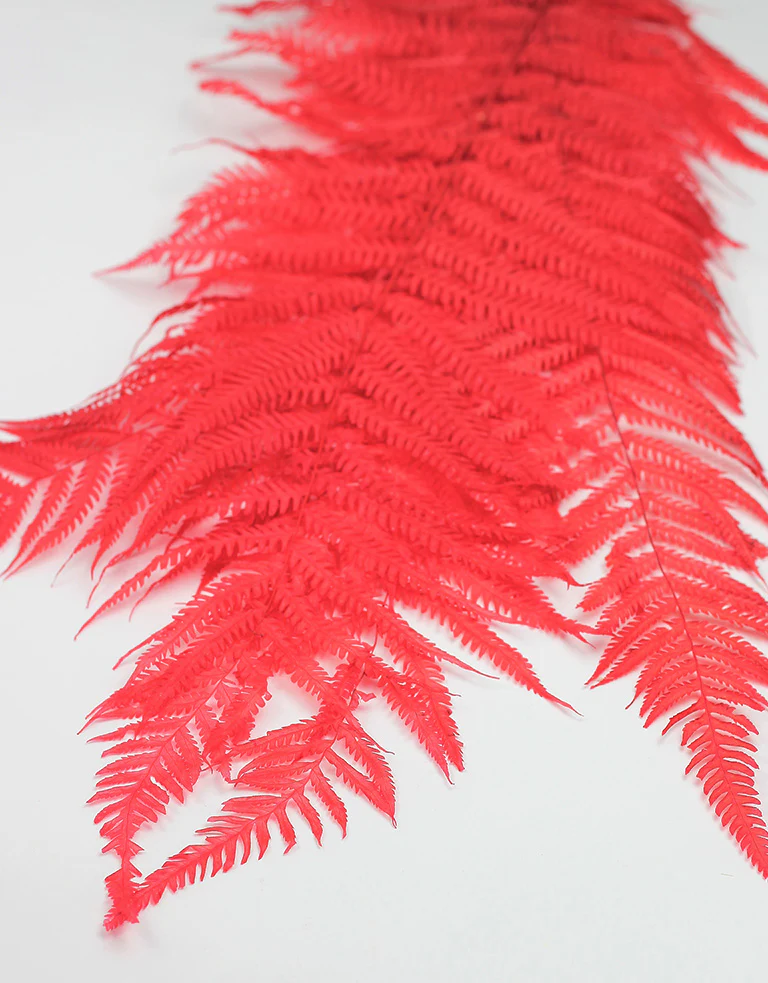 Dried Royal Fern - Red Bunch, 5 stems, 60 cm