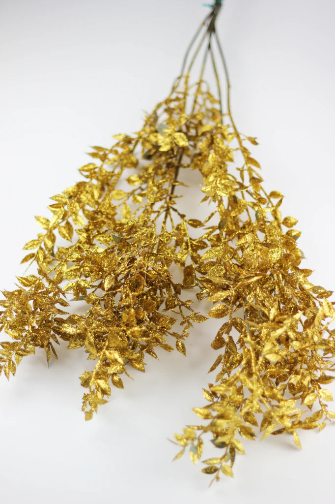 Dried Ruscus Bunch - Glitter Gold, 5 stems, 70 cm