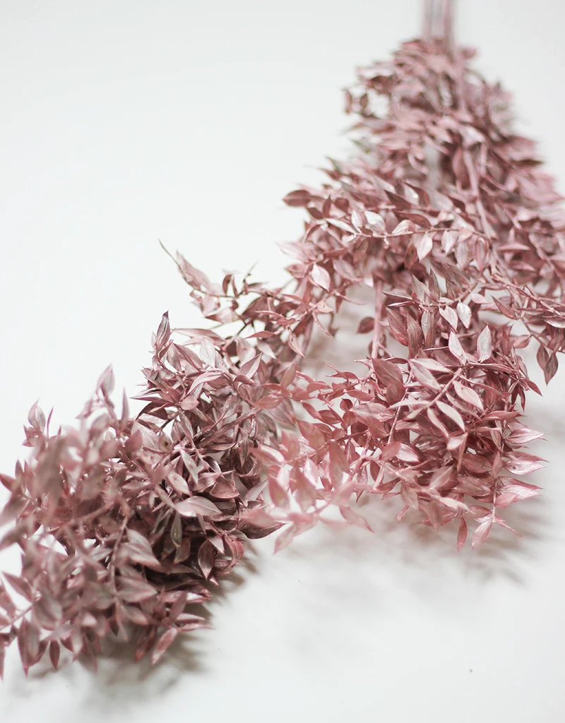 Dried Ruscus - Frosted Pink Shimmer, 5 stems, 60cm