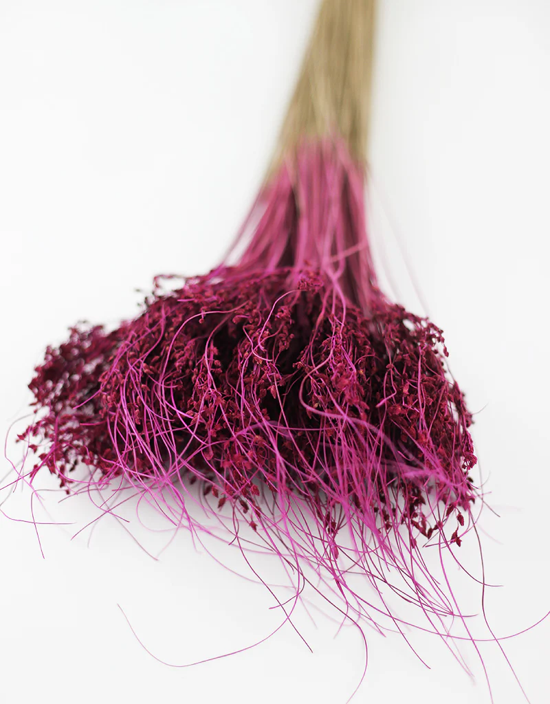 Dried Sai Thong Bunch - Plum, 55 cm