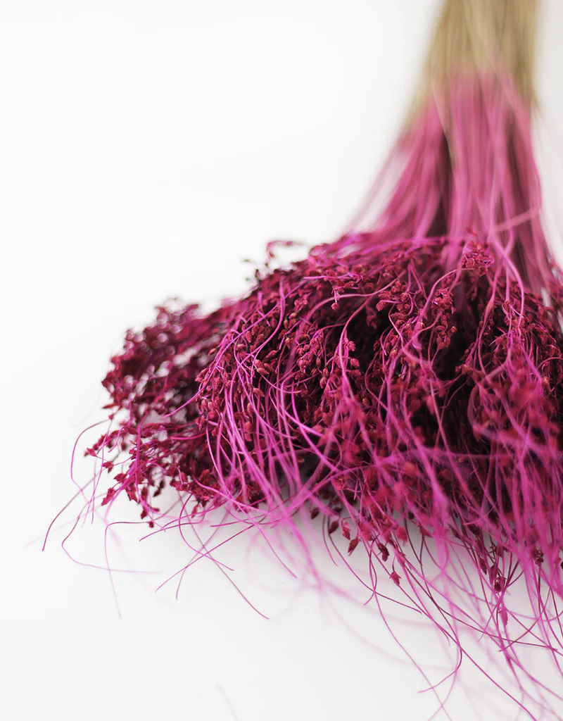 Dried Sai Thong Bunch - Plum, 55 cm - Image 2