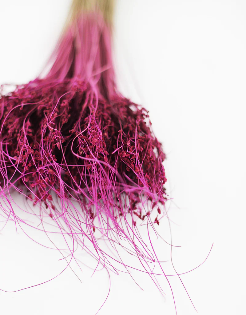 Dried Sai Thong Bunch - Plum, 55 cm - Image 3