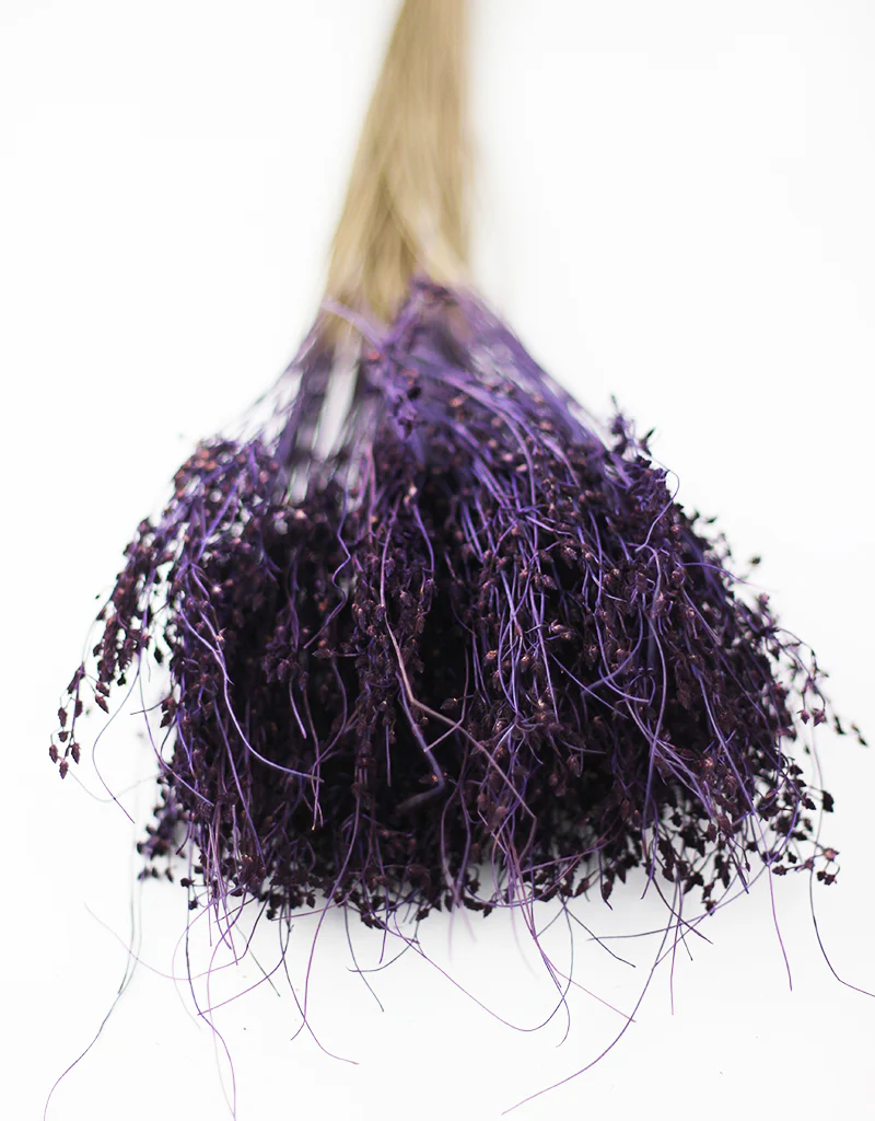 Dried Sai Thong Bunch - Purple, 55 cm