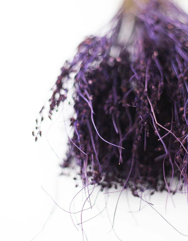 Dried Sai Thong Bunch - Purple, 55 cm - Image 2