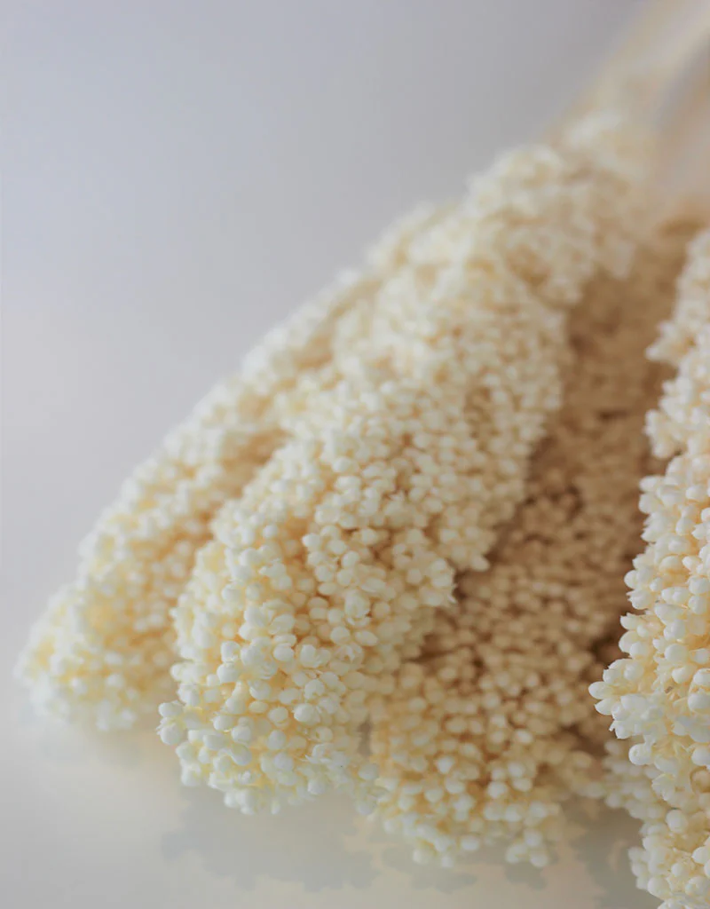 Dried Sorghum - Bleached, 6 Stems, 70 cm - Image 3