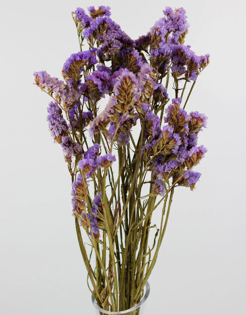 Dried Statice Flowers- Purple Bunch, 55 cm