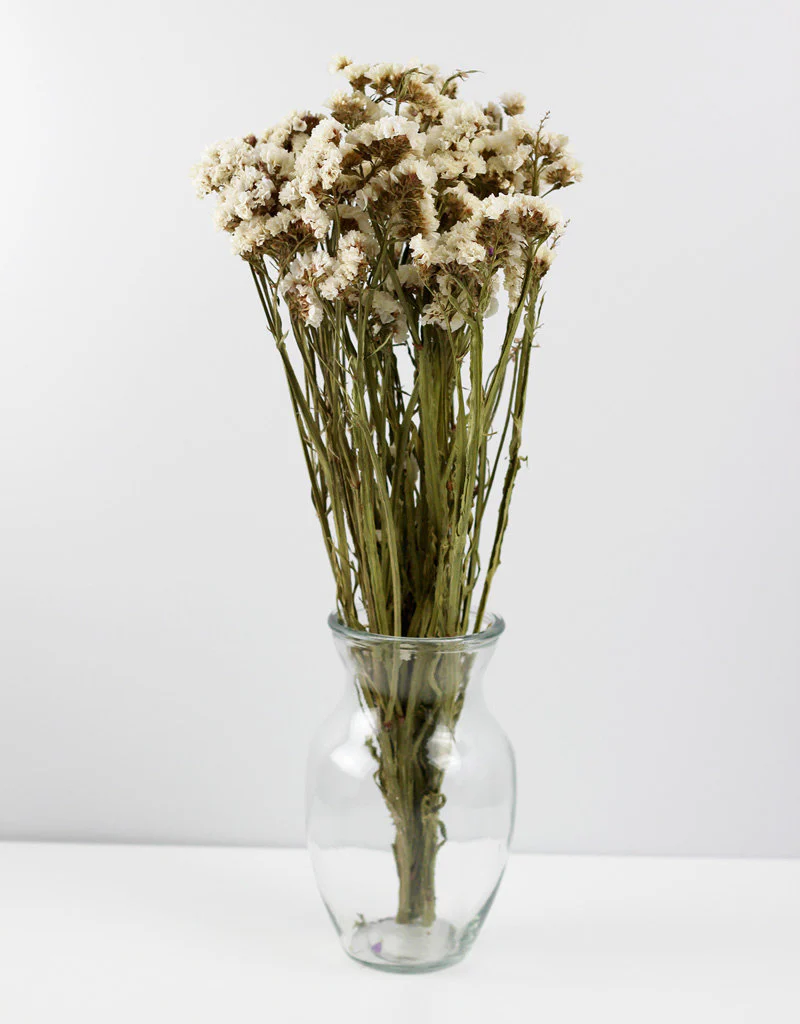 Dried Statice - White Bunch, 50 cm