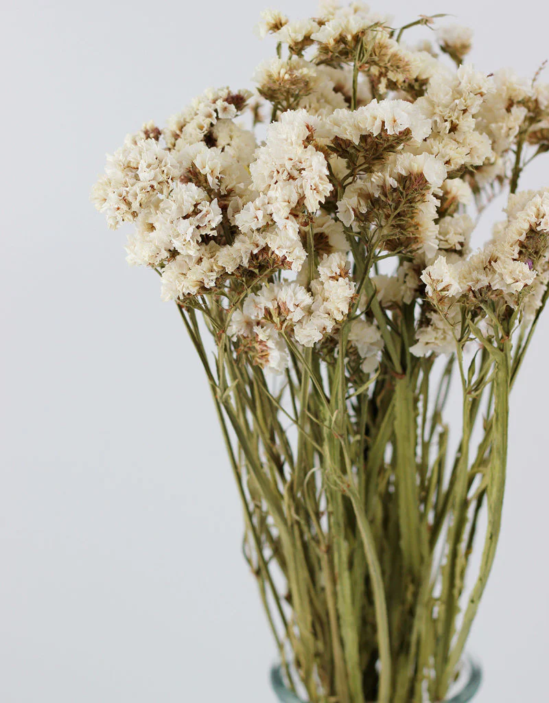 Dried Statice - White Bunch, 50 cm - Image 2