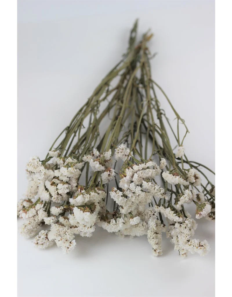 Dried Statice - White Bunch, 60 cm
