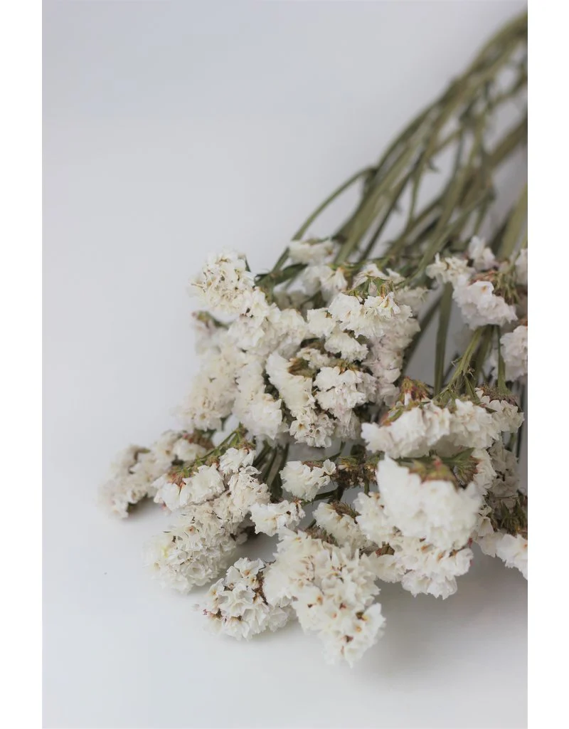 Dried Statice - White Bunch, 60 cm - Image 2