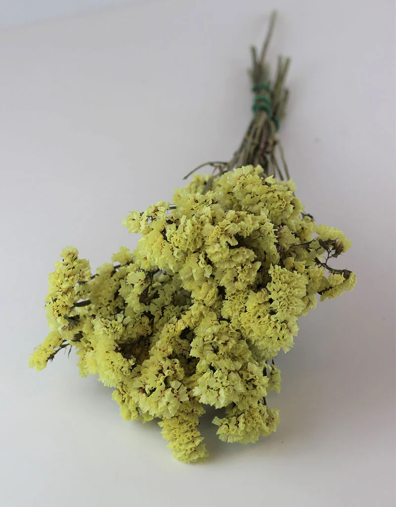 Dried Statice - Yellow Bunch, 50 cm - Image 2