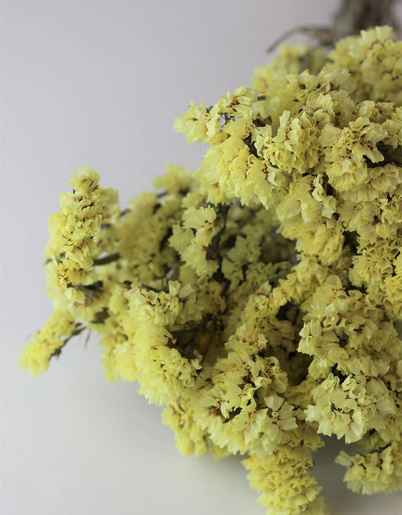 Dried Statice - Yellow Bunch, 50 cm - Image 3