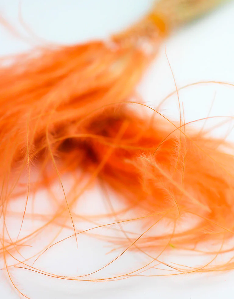 Dried Stypha Pennata Stipa Feather - Orange/ Peach Bunch, 55 cm - Image 3