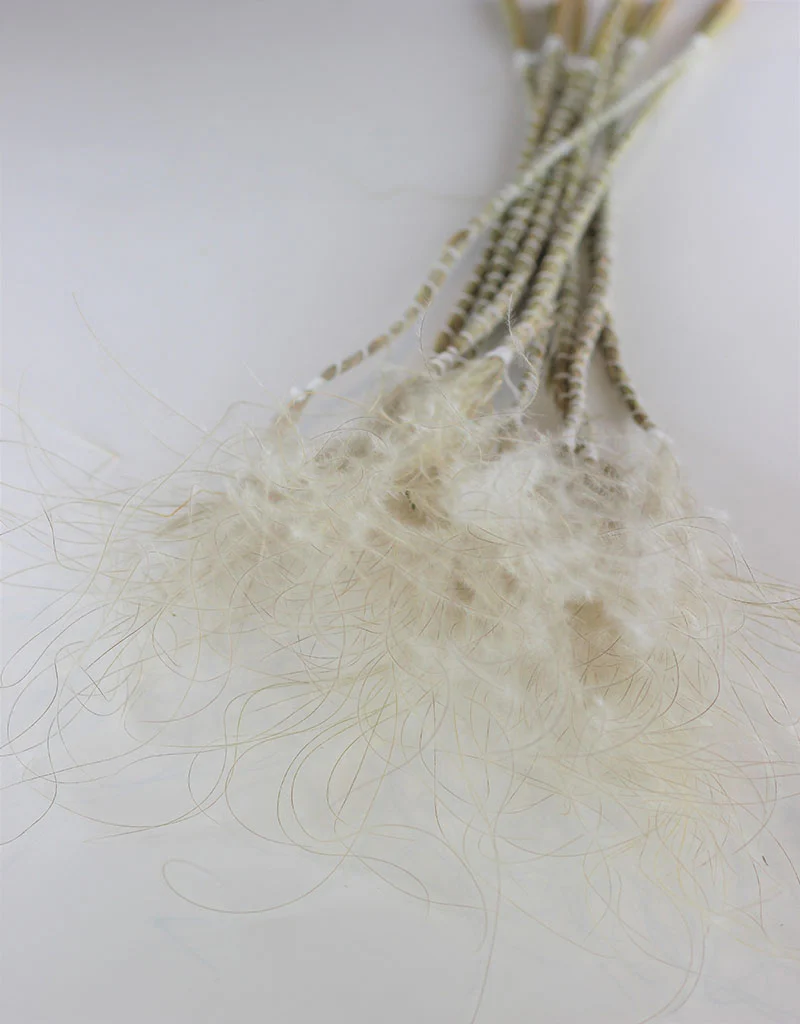 Dried Stypha Pennata Stipa Feather - Natural Bunch, 60 cm