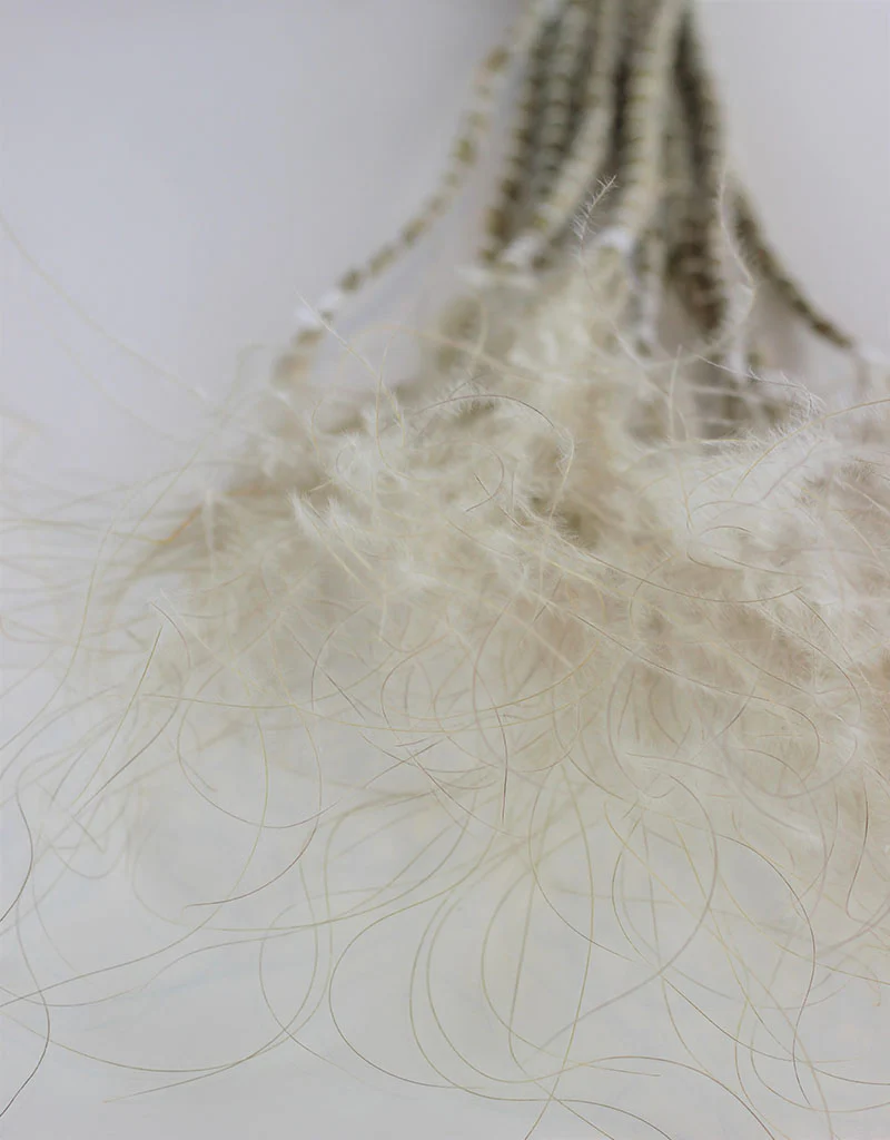 Dried Stypha Pennata Stipa Feather - Natural Bunch, 60 cm - Image 3