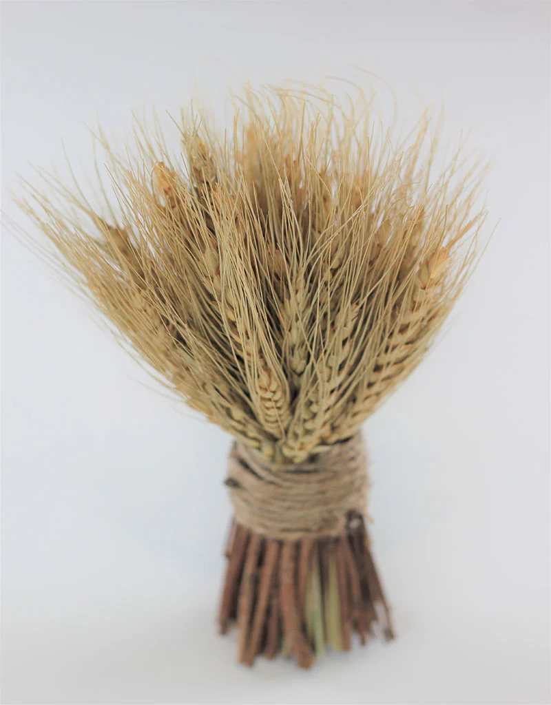 Dried Triticum Twig Sheaf  - Natural, 20 cm