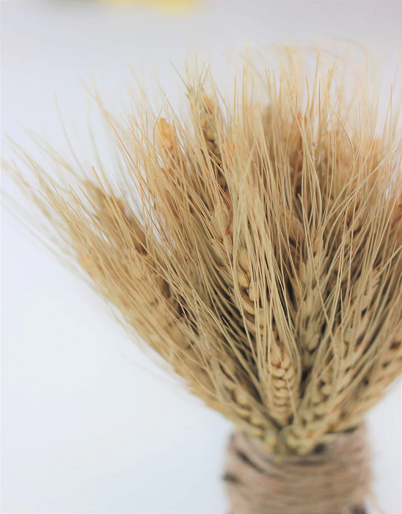 Dried Triticum Twig Sheaf  - Natural, 20 cm - Image 3