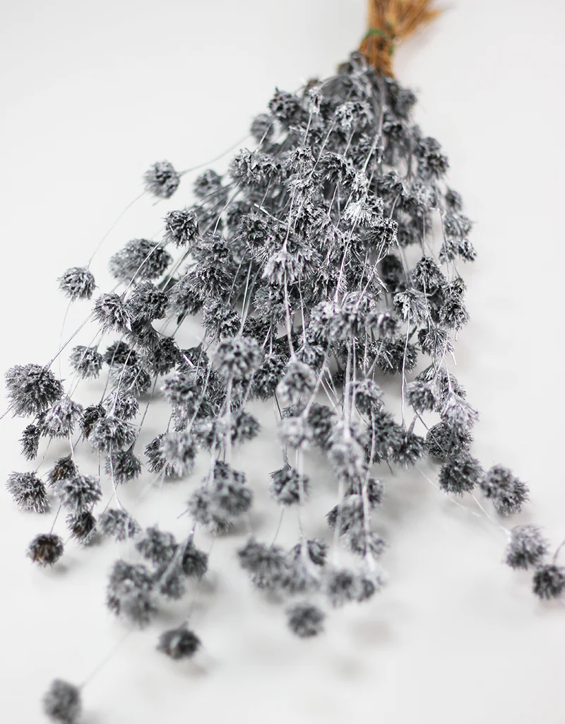 Dried Weeping Bamboo bunch - Silver, 60cm