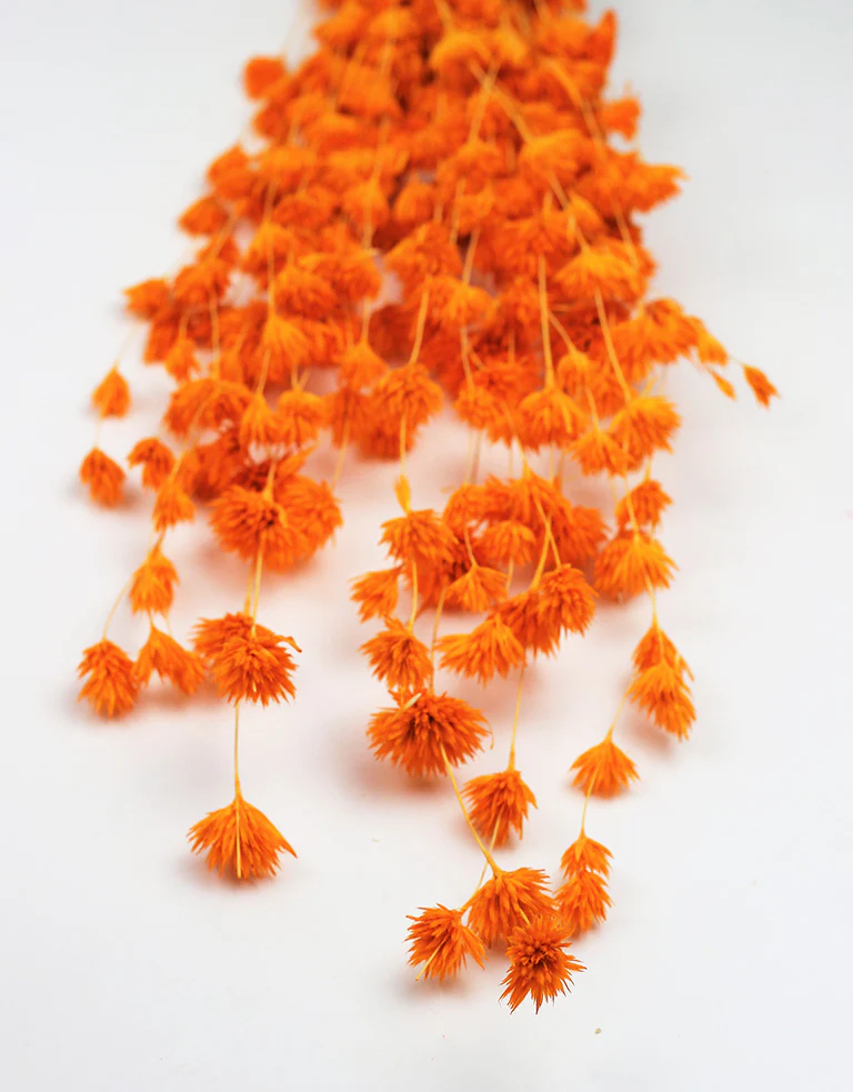 Dried Weeping Bamboo - Orange Bunch, 55 cm