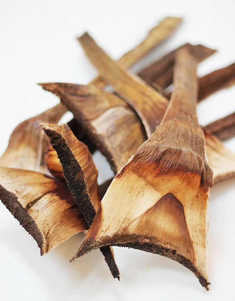 Dried Wooden Bark - Natural, x5 - Image 3