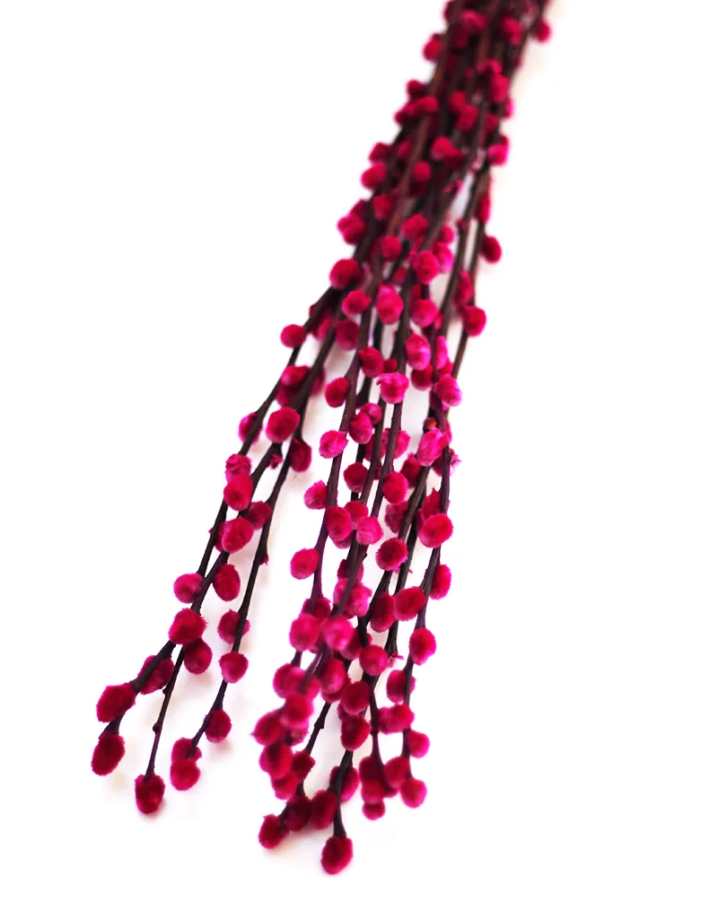 Dried Pussy Willow - Cerise Pink, 10 stems, 60cm (Salix)