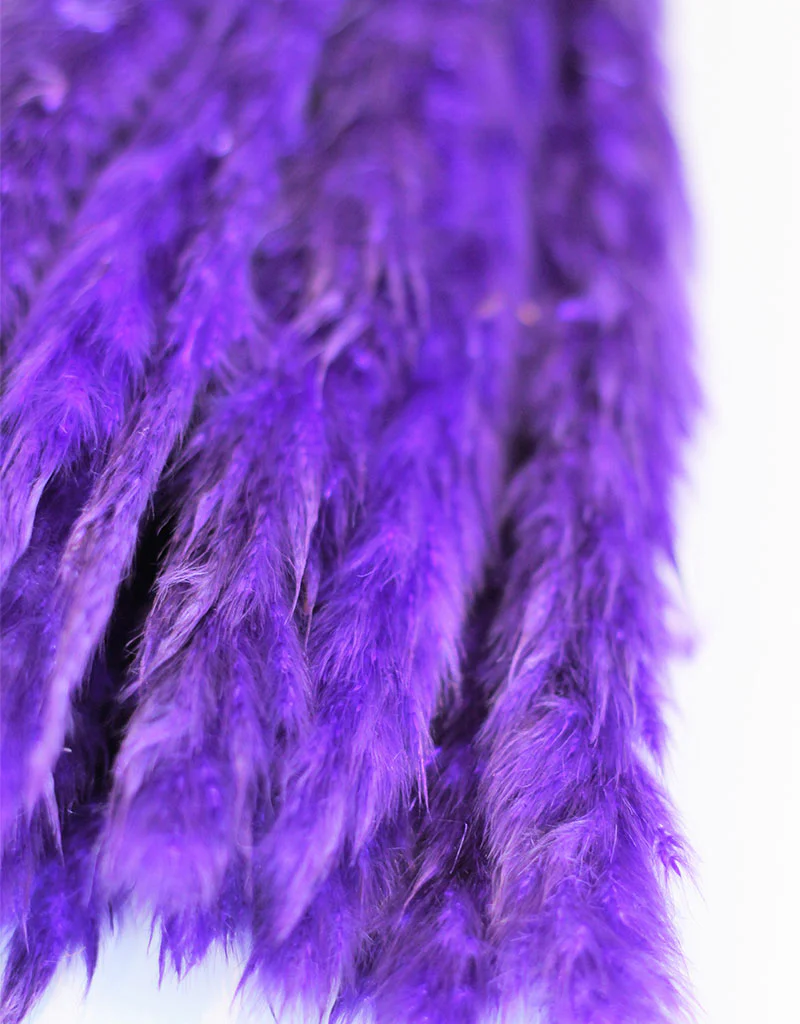 Fluffy Dried Pampas Grass - Purple, 10 Stems, 75 cm (Cortaderia) - Image 3