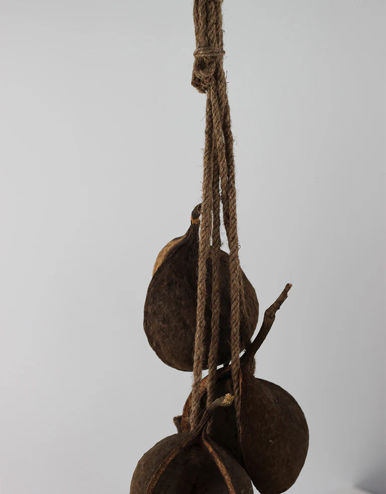Hanging Cluster Buddha Nut - Natural, 70 cm height - Image 3