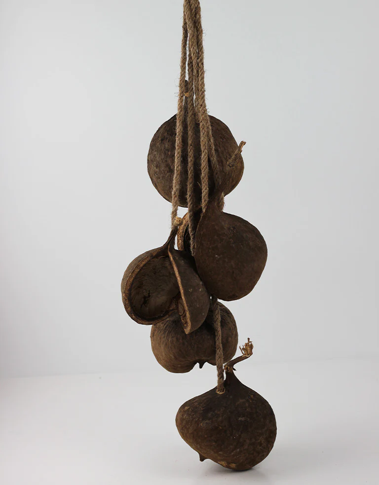 Hanging Cluster Buddha Nut - Natural, 70 cm height - Image 4