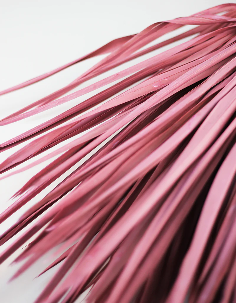 Large Dried Chamaerops Palm - Baby Pink, 8 Stems, 75 cm - Image 2