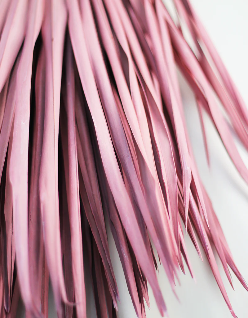 Large Dried Chamaerops Palm - Baby Pink, 8 Stems, 75 cm - Image 3