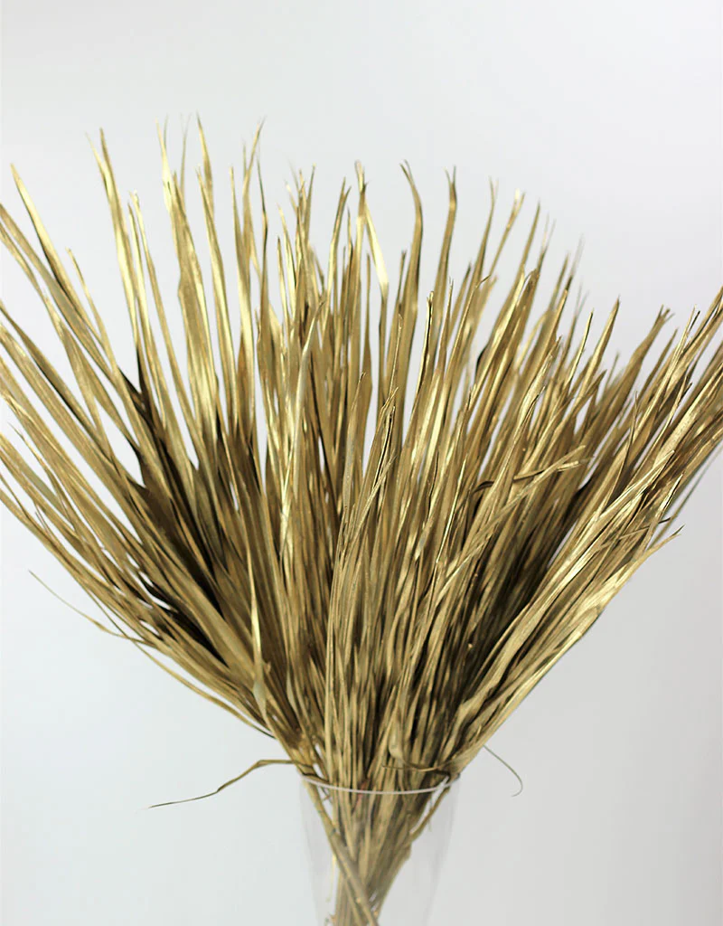 Large Dried Chamaerops Palm - Gold, 8 Stems, 70 cm - Image 2