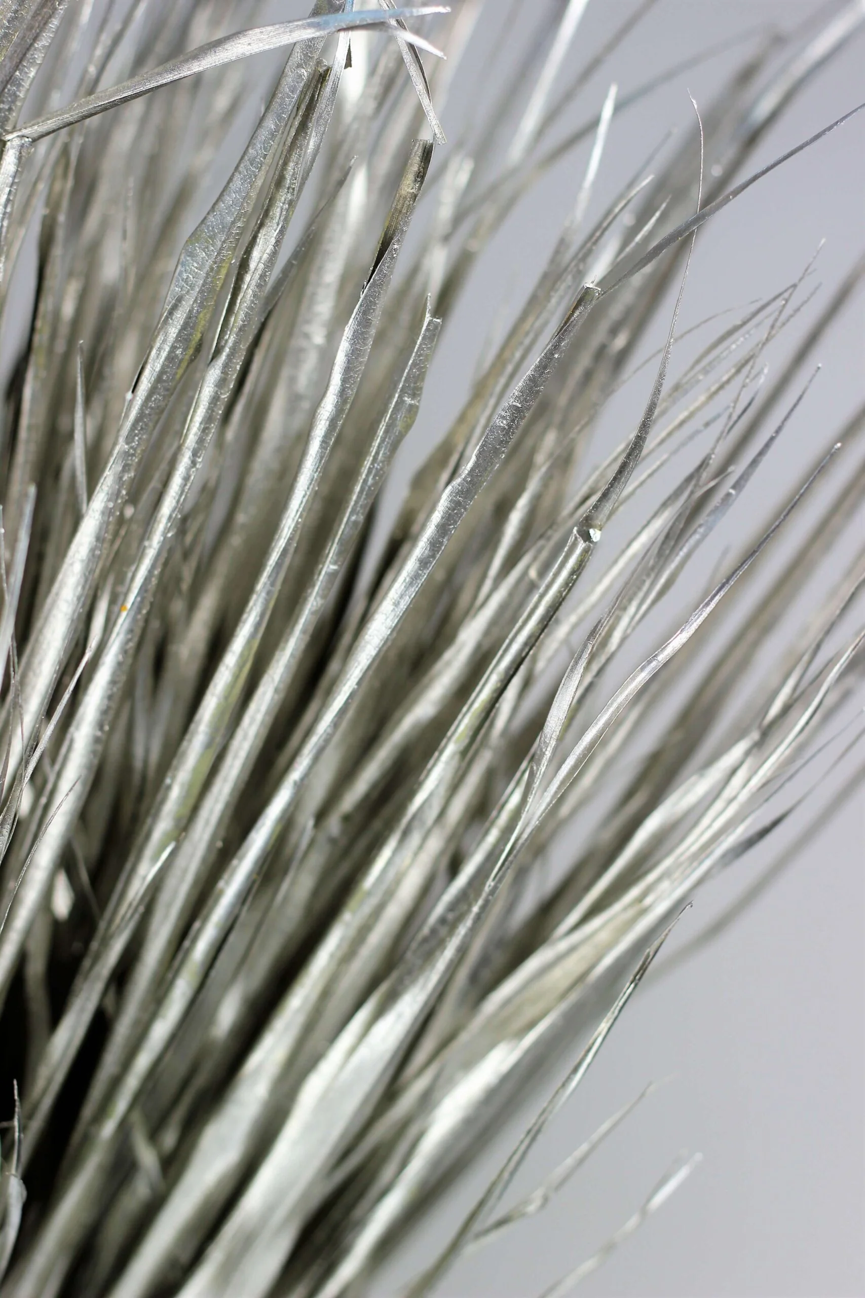 Large Dried Chamaerops Palm - Platinum, 8 Stems, 70 cm - Image 3