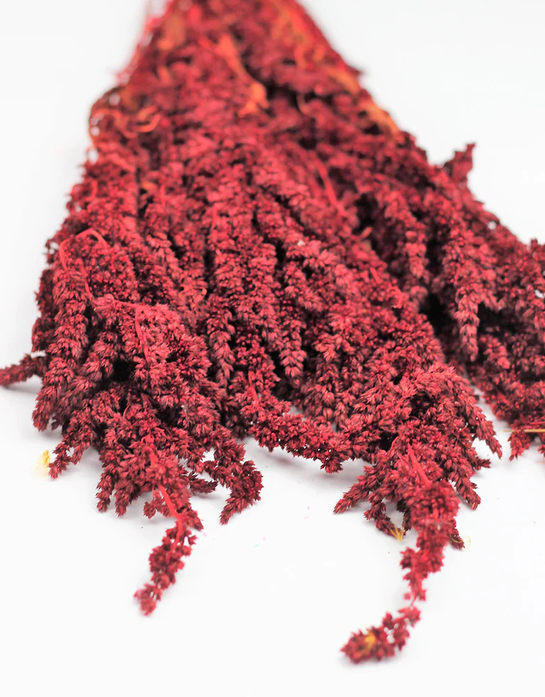 Preserved Amaranthus - Red Bunch, 60 cm