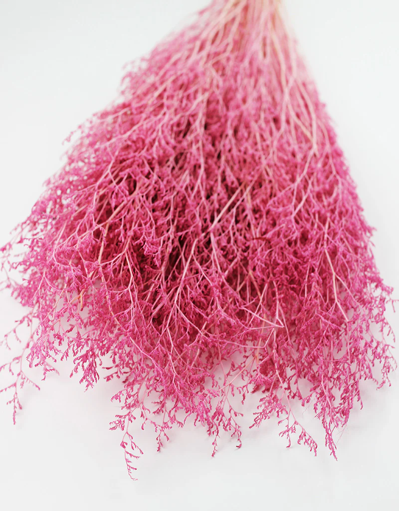Preserved Caspia  - Pink Bunch, 100 grams, 70 cm - Image 4