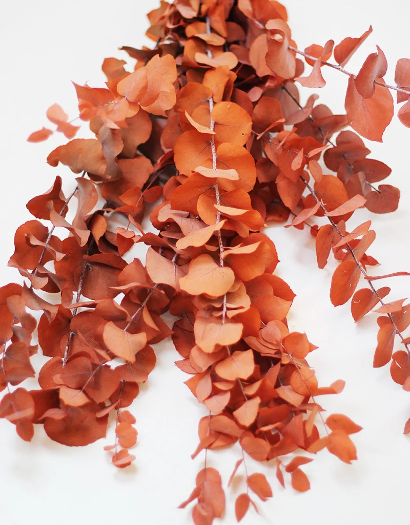 Preserved Stuartiana Eucalyptus bunch - Burnt Orange/ Terracotta, 70cm, 150g