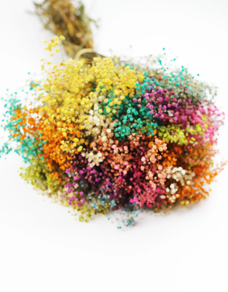 Preserved Gypsophila Flowers - Rainbow bouquet, 200 grams, 55 cm - Image 4