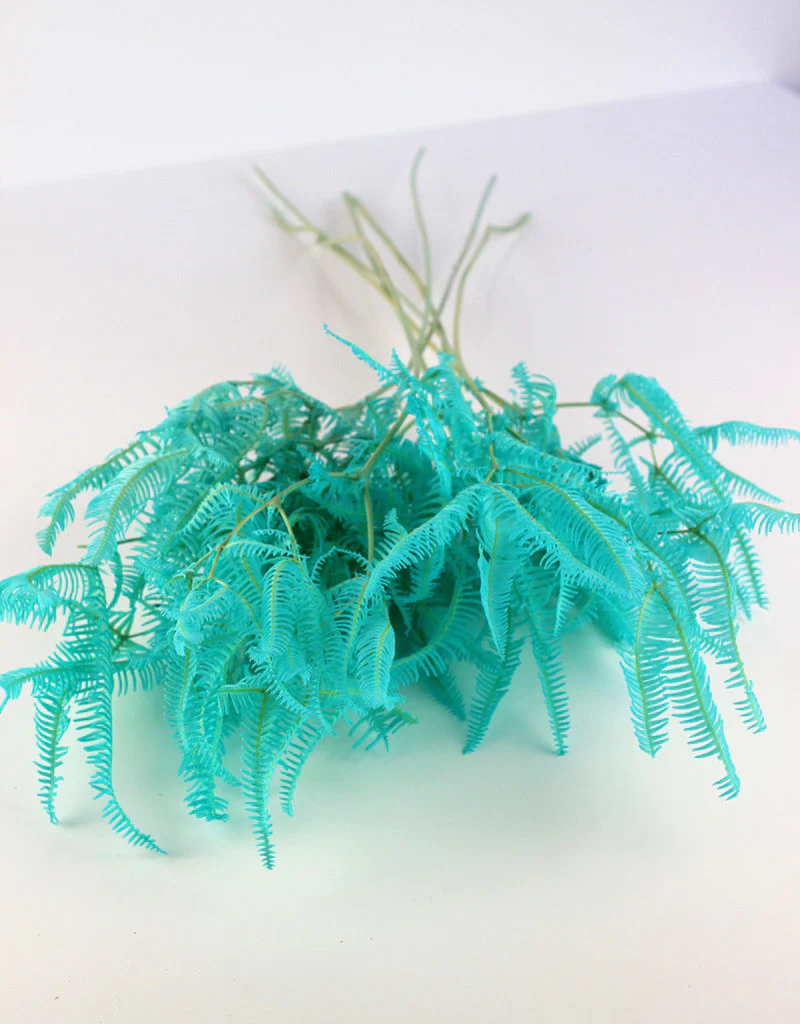 Preserved Helecho - Aqua Blue Bunch, 45 cm