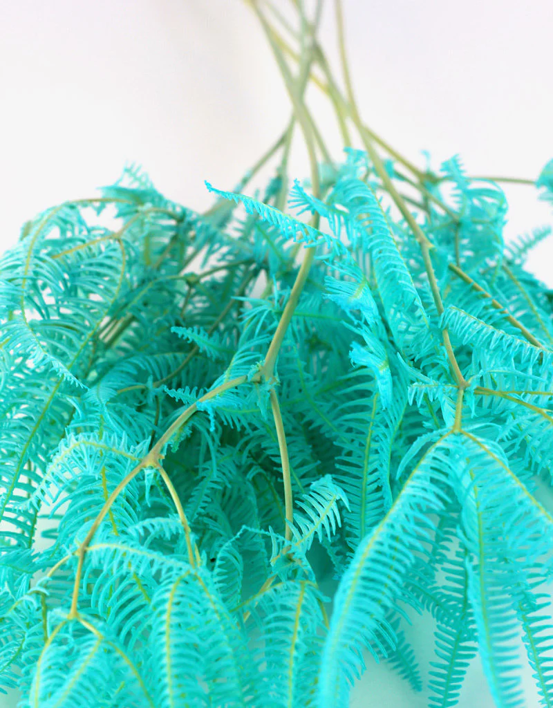 Preserved Helecho - Aqua Blue Bunch, 45 cm - Image 5