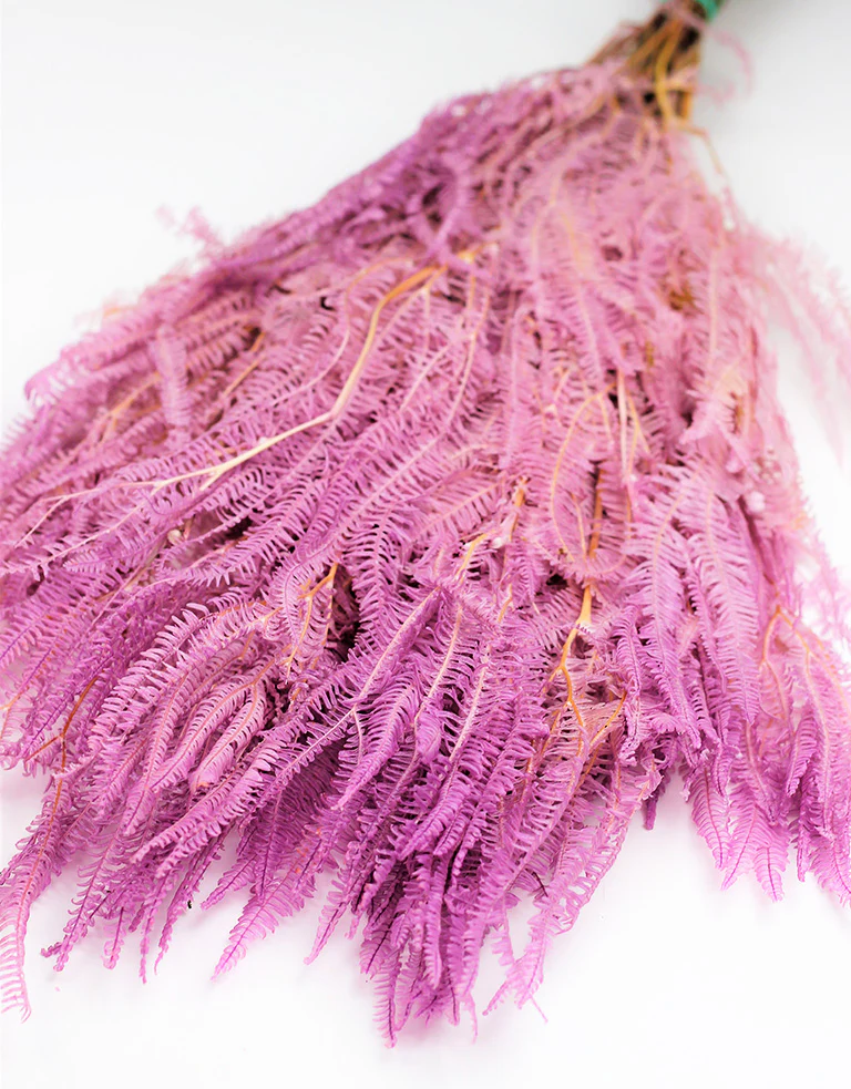 Preserved Helecho - Lilac Bunch, 70 cm - Image 2