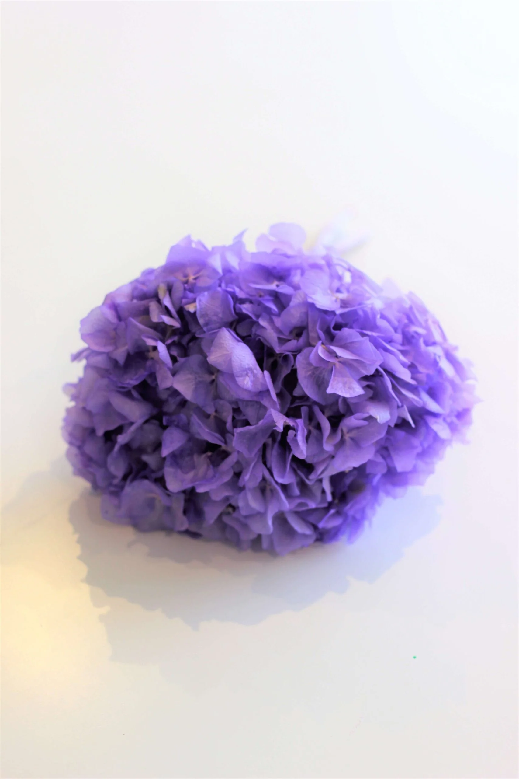 Preserved Hydrangeas - Purple, 2 stems, 30 cm
