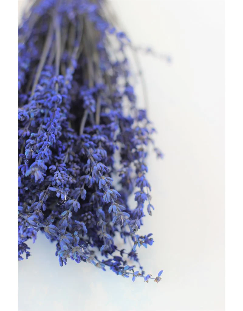 Preserved Lavender - Dark Blue Bunch, 40 cm - Image 3
