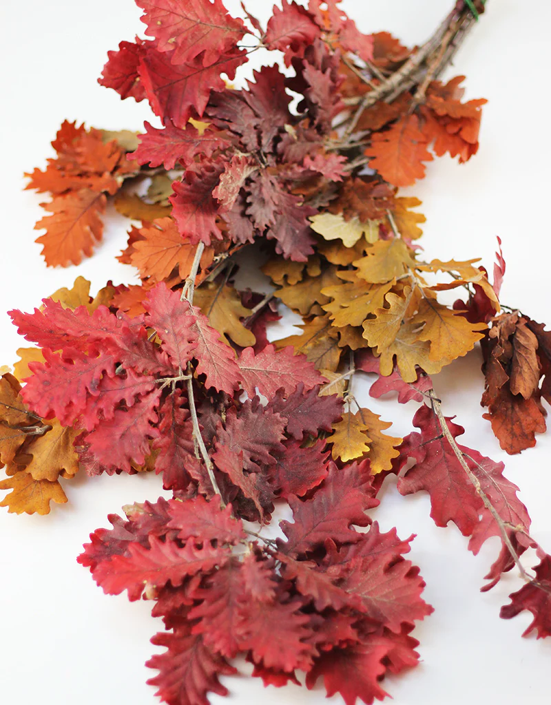 Preserved Oak Leaves - Autumn mix, 150g bunch, 75cm
