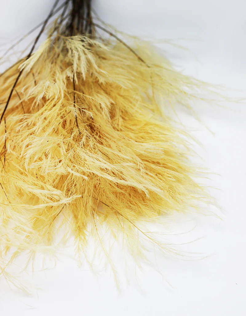 Preserved Tree Fern - Bleached Bunch, 10 stems, 65 cm - Image 3